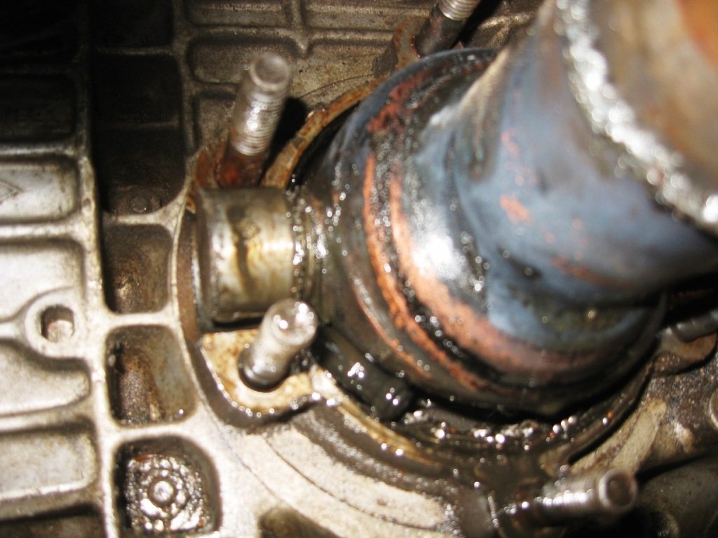 BV 980 ms 68 006.jpg