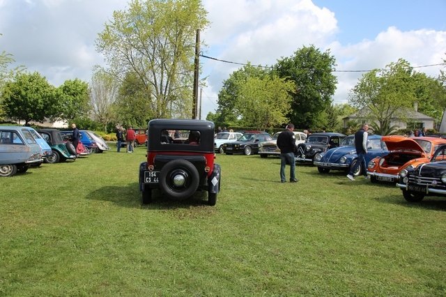 IMG_8251.jpg IMG_8251.jpg