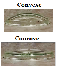 concave convexe.png
