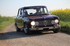 Alfa Giulia Super.jpg