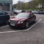 IMG_20250419_155254.jpg