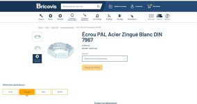Ecrous PAL auto-freinés hexagonaux BRICOVIS.JPG