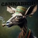 cannabiche-04-avec-typographie.jpg