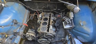 20251101_114135(0).jpg 20251101_114135(0).jpg