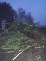 IMG_20251211_074256.jpg IMG_20251211_074256.jpg