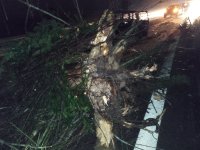 IMG_20251211_065735.jpg IMG_20251211_065735.jpg