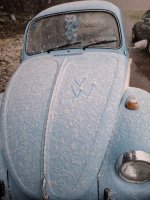 651051961_10233930987670307_1598834450799046183_n.jpg 651051961_10233930987670307_1598834450799046183_n.jpg