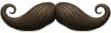 moustache-nom-visage-4154ff81_1-x3.jpg