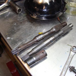 DSC09879