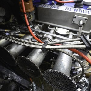 Alpine-21.jpg